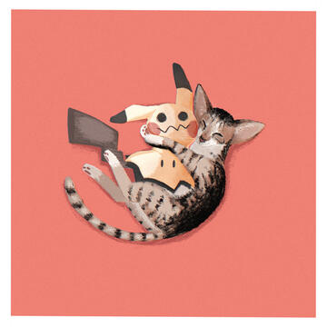 cat_commission cat_commission