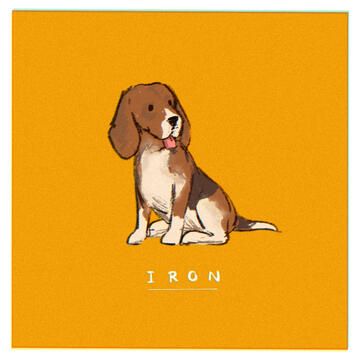 iron_02 iron_02