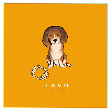 iron_01 iron_01